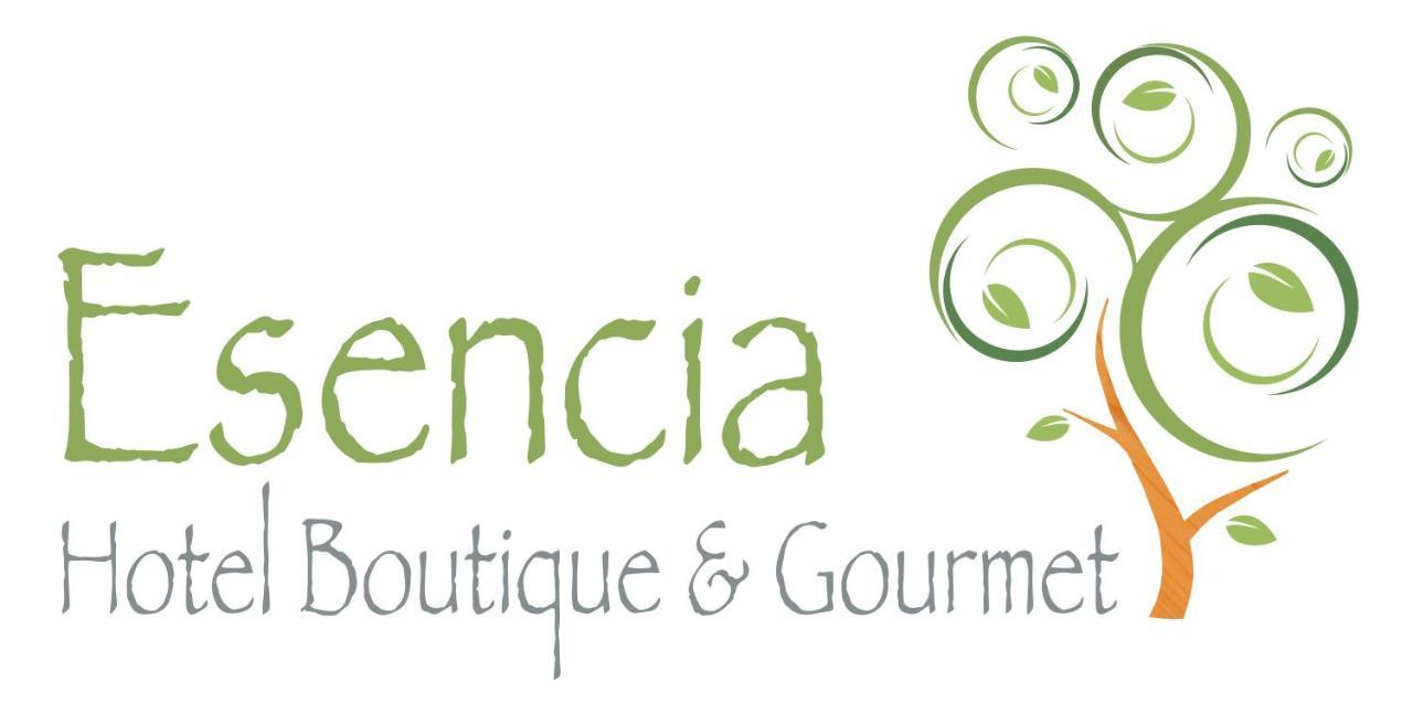Esencia Hotel Boutique Vina del Mar Exteriör bild